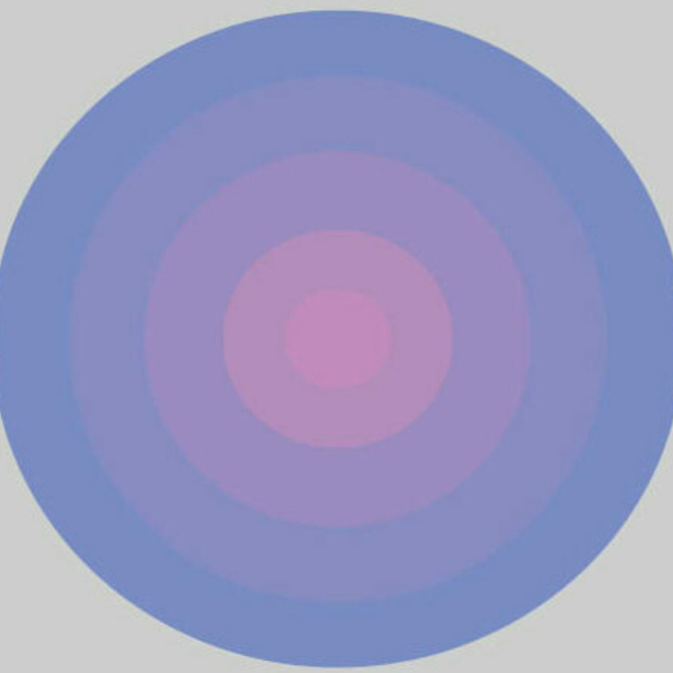MEDP Portfolio